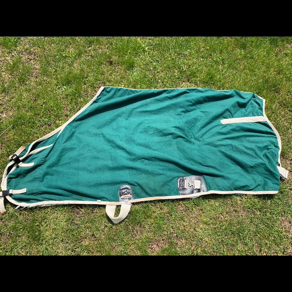 Horse sheet. Approx 74-75
